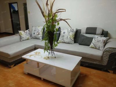 心悅園精裝大三房 全明采光，家電齊全，拎包即住的理想家園