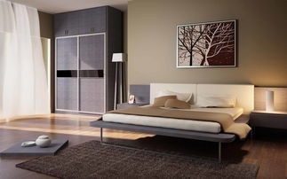 選擇德爾曼整體衣柜，打造廈門家居生活新高度